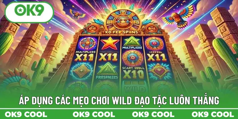 Áp dụng các mẹo chơi Wild đạo tặc luôn thắng Áp dụng các mẹo chơi Wild đạo tặc luôn thắng