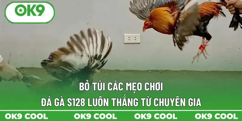 Bỏ túi các mẹo chơi đá gà S128 luôn thắng từ chuyên gia