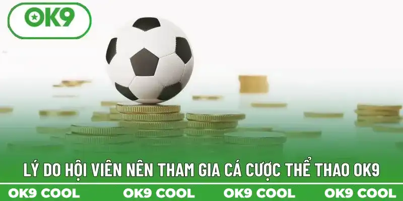 Lý do hội viên nên tham gia cá cược thể thao OK9
